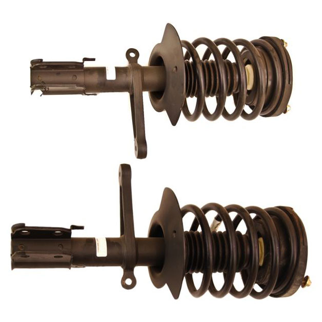 Eagle Shock and Strut Set
