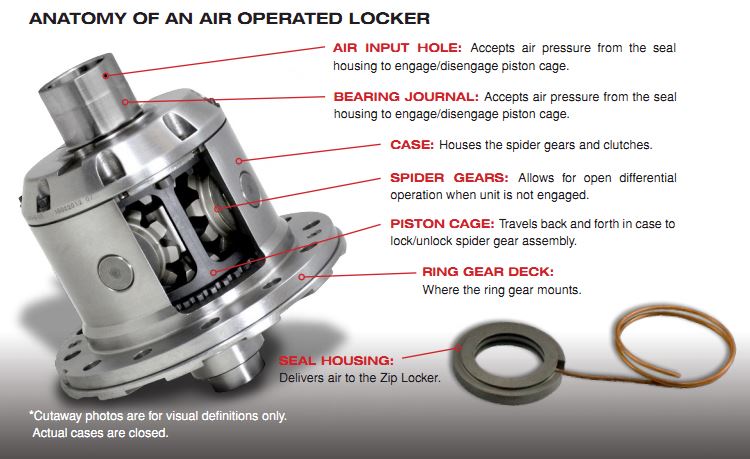 Zip Locker Anatomy
