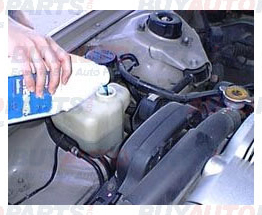 How To Check and Fill Coolant