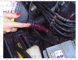 checking transmission fluid-2