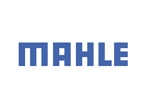 Mahle Car Parts