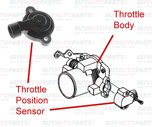 throtle position sensor