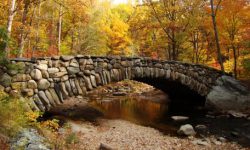 Top Scenic Road Trips For Fall Foliage