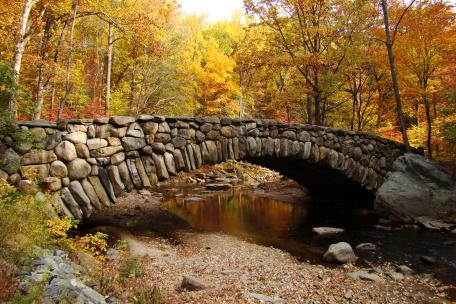Top Scenic Road Trips For Fall Foliage