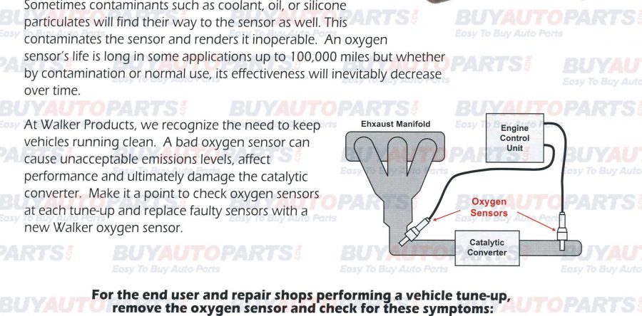 Oxygen Sensor Life Expectancy Infographic
