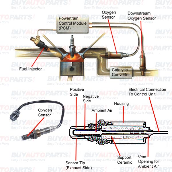 Repair Oxygen Sensor