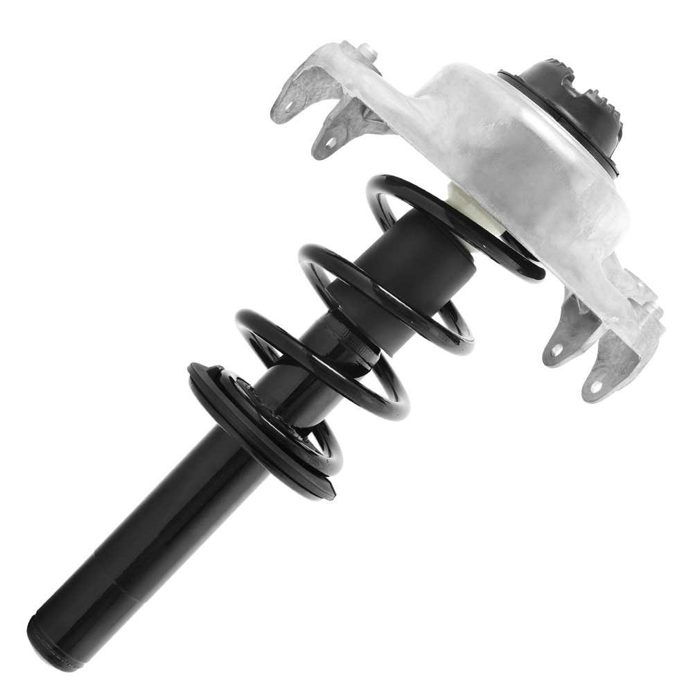 BuyAutoParts 75-22779CS Strut