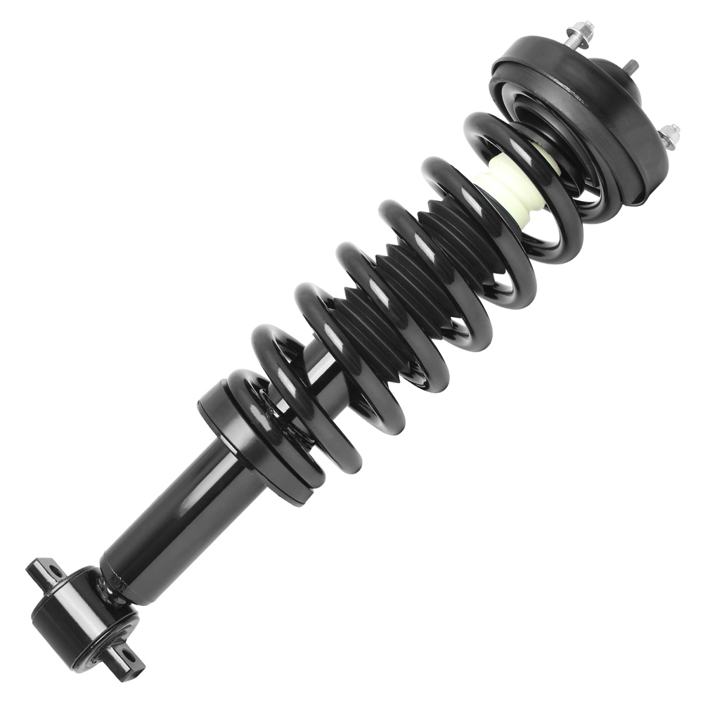 2014 Ford F Series Trucks Strut