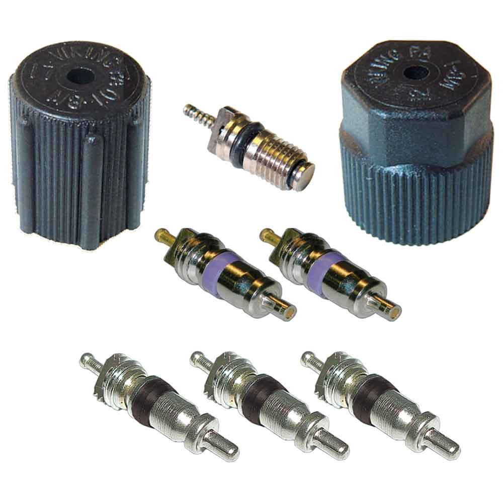  Audi A3 A/C System Valve Core and Cap Kit 