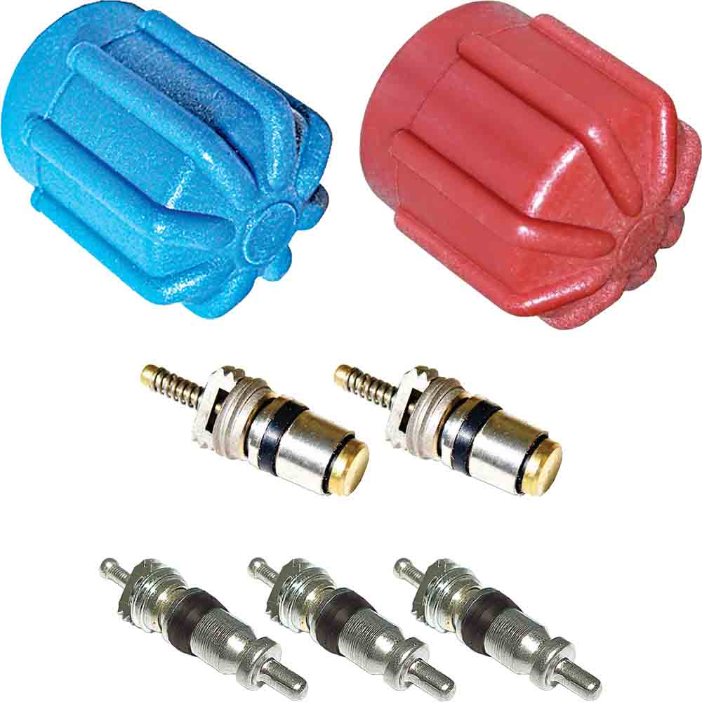 BuyAutoParts AQ-B0057AN A/C System Valve Core and Cap Kit