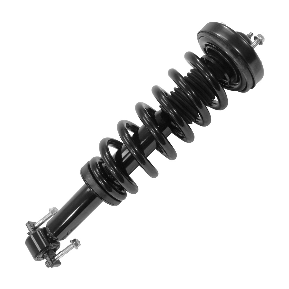 2019 Ford F Series Trucks Strut and Coil Spring Assembly