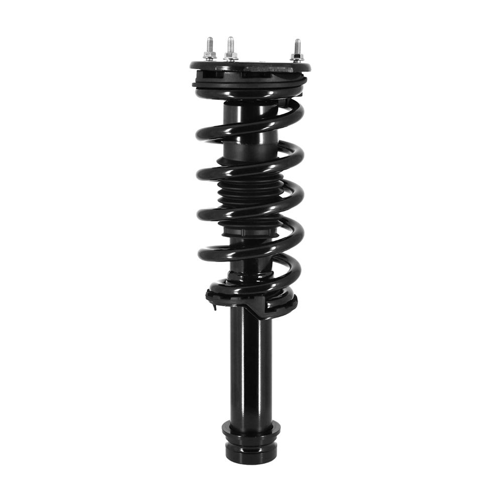 2017 Tesla S Strut and Coil Spring Assembly