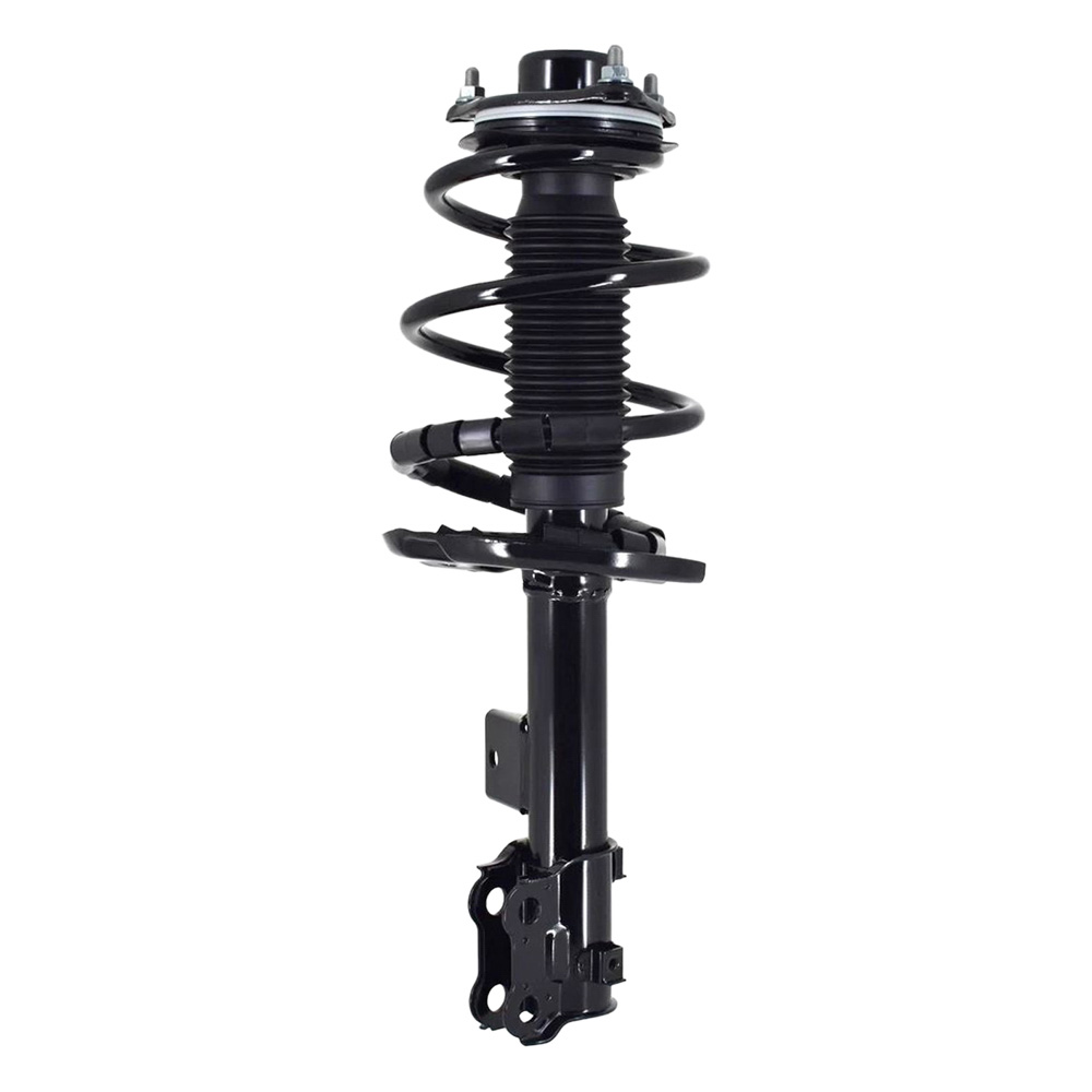 2014 Kia Cadenza Strut and Coil Spring Assembly
