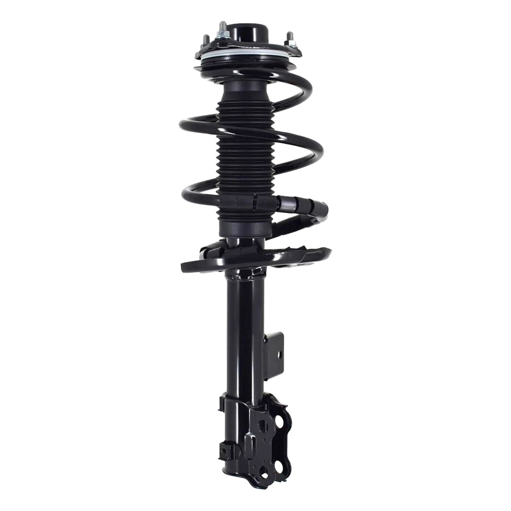 2014 Kia Cadenza Strut and Coil Spring Assembly