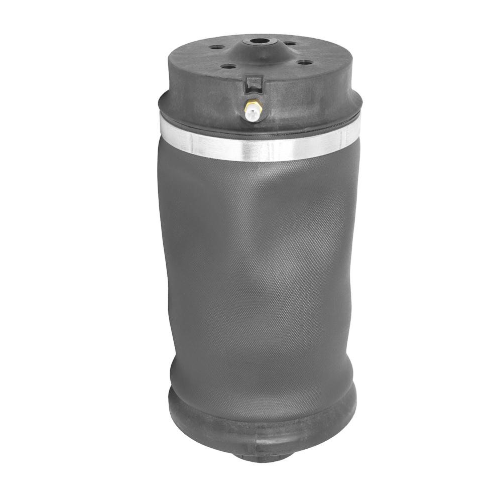 BuyAutoParts 76-10037AN Air Spring