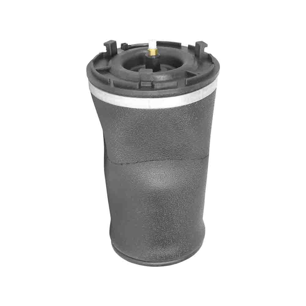2006 Buick Rainier Air Spring