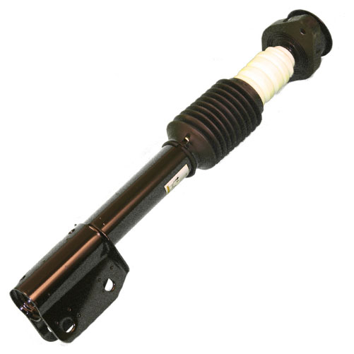 1987 Buick Regal Strut