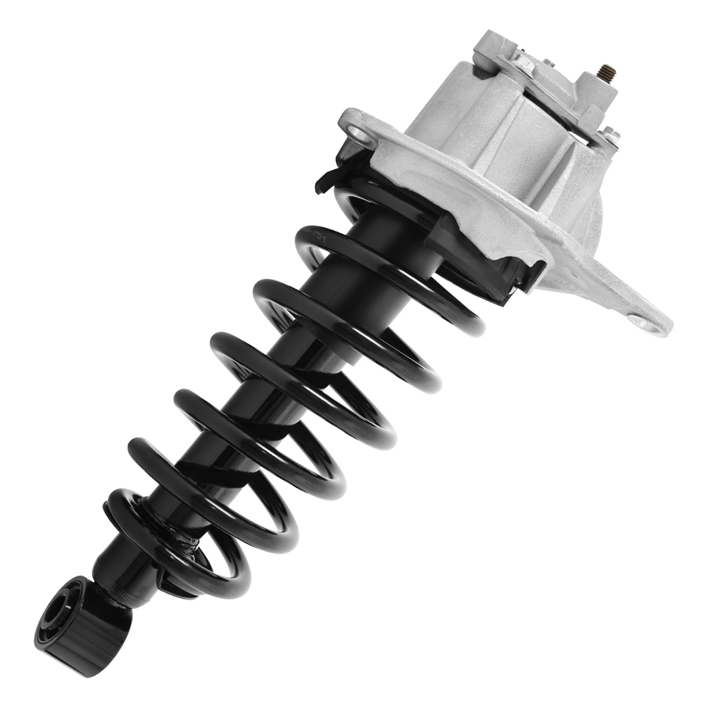 BuyAutoParts 75-22416CS Strut