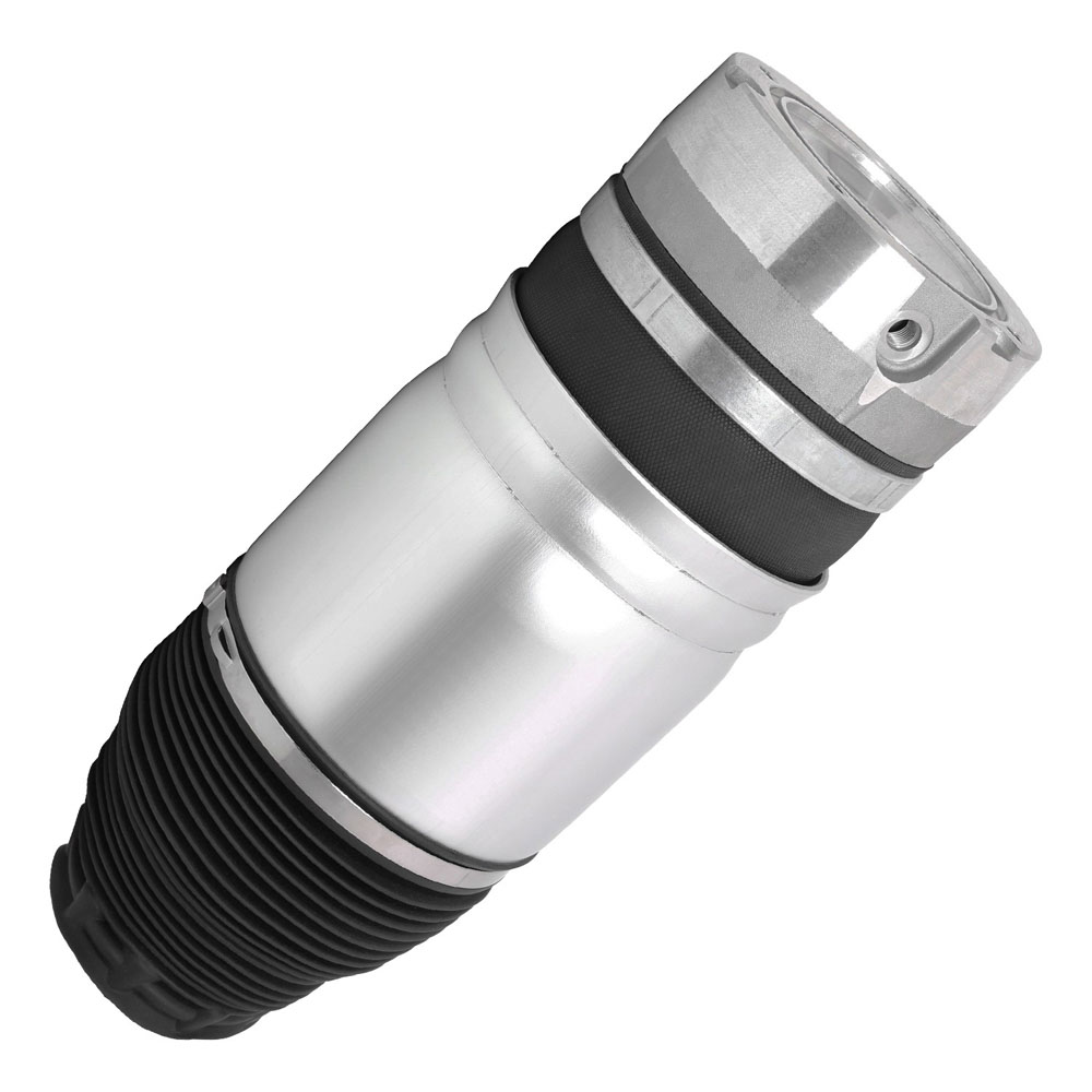 2010 Volkswagen Touareg Air Spring Rear 76-10038-an