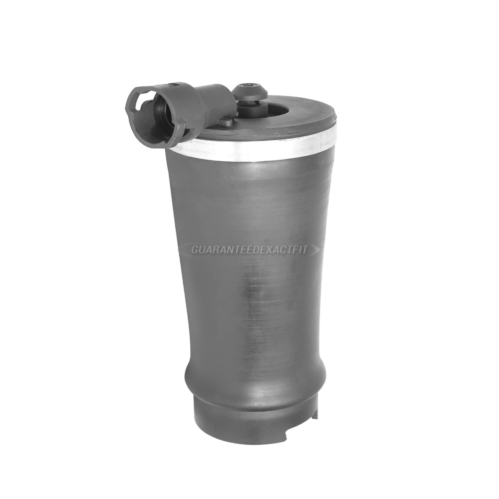 2002 Lincoln Blackwood Suspension Spring Kit