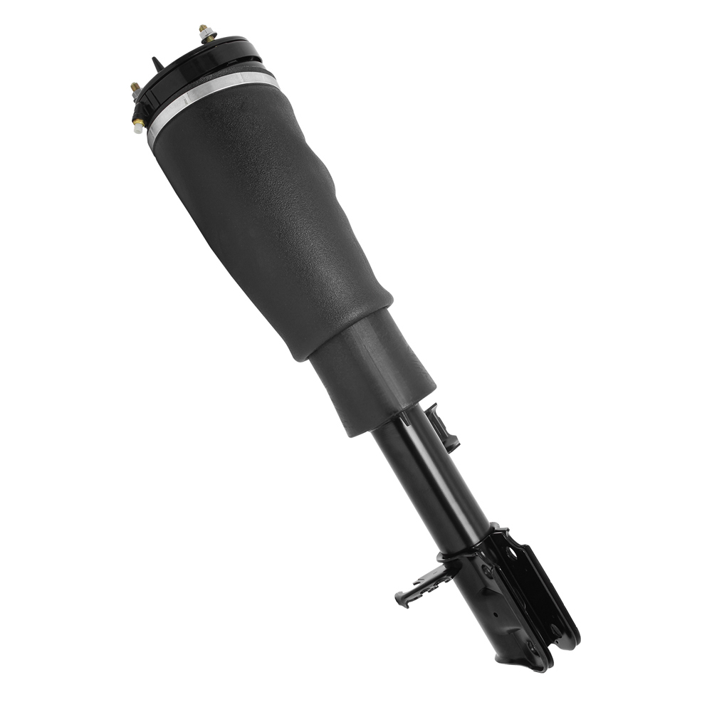 BuyAutoParts 75-20125AN Strut