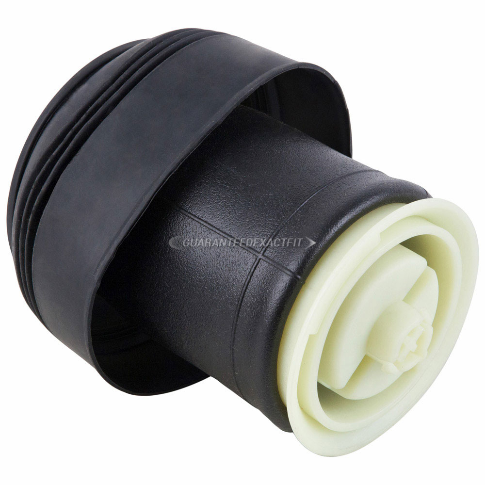 BuyAutoParts 76-10046AN Air Spring