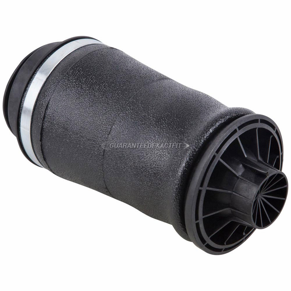BuyAutoParts 76-10037AN Air Spring