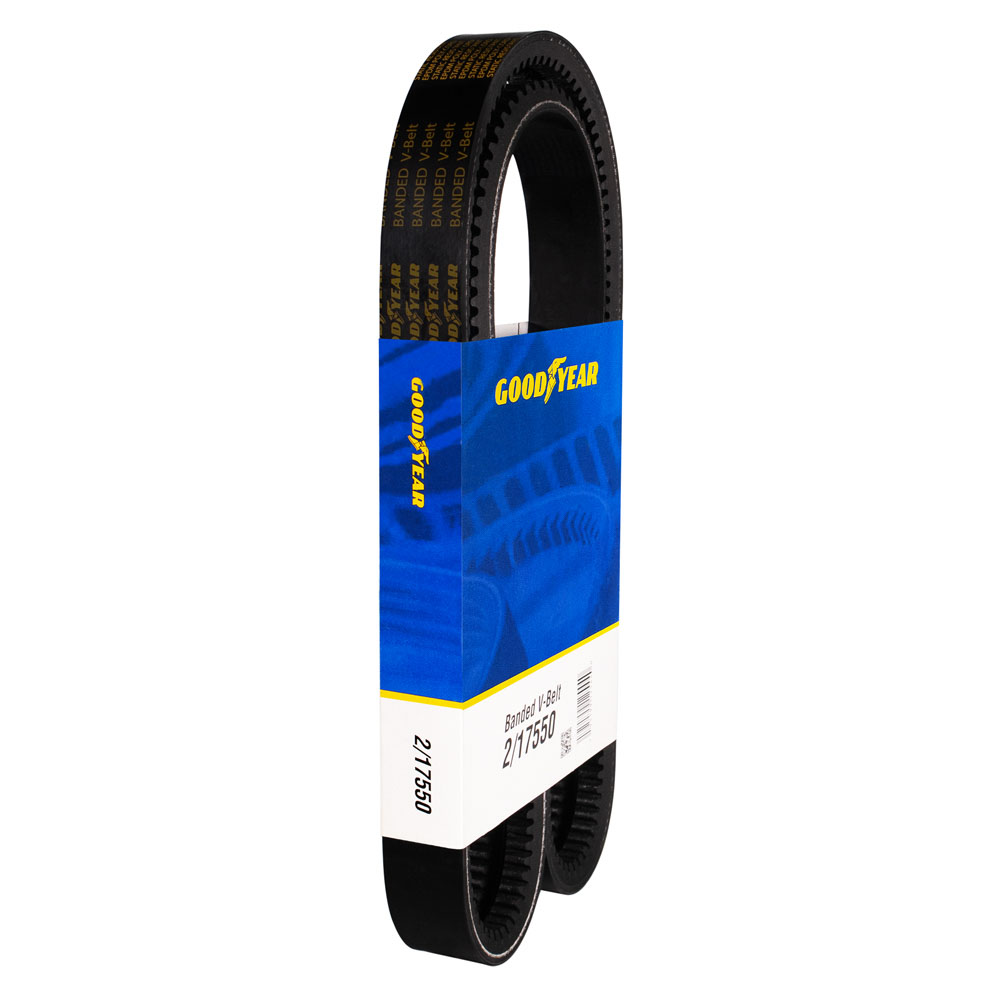 2000 Freightliner FLC112 Accessory Drive Belt