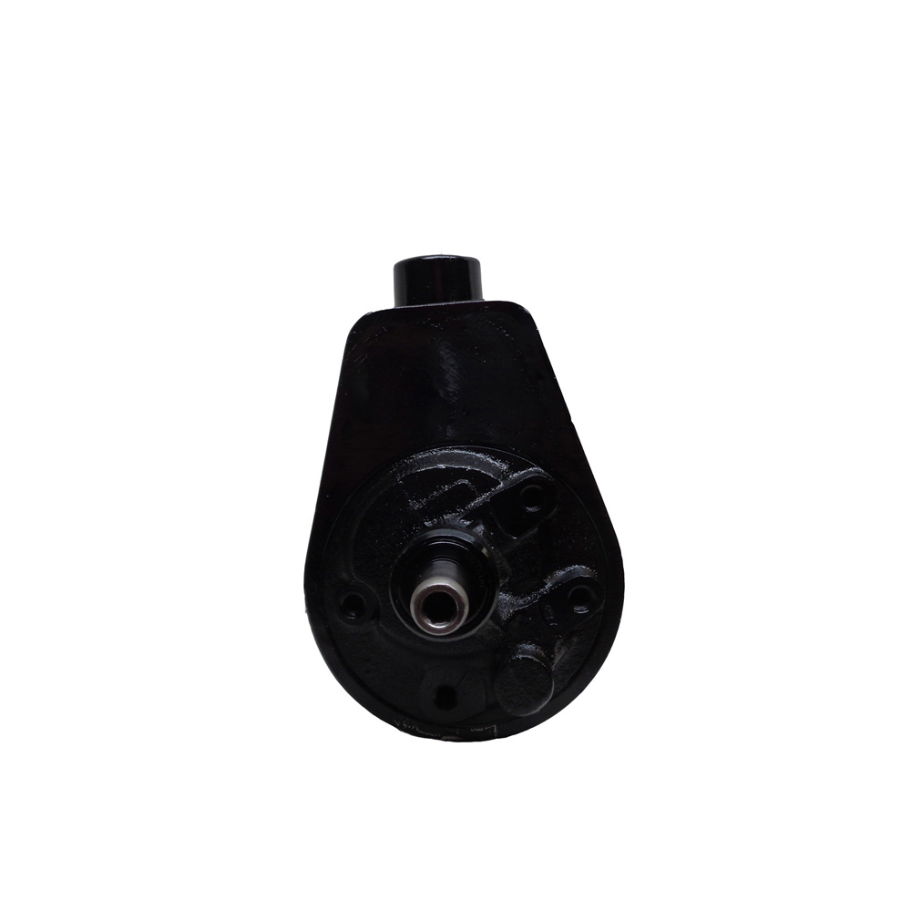 BuyAutoParts 86-02146R Power Steering Pump
