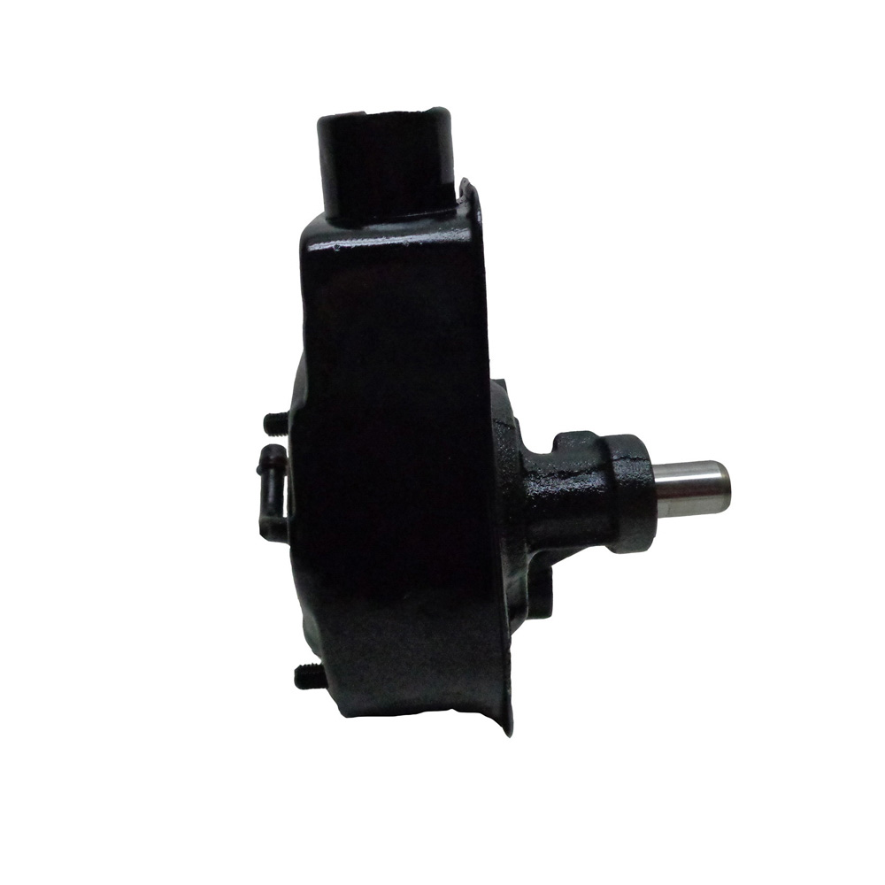 BuyAutoParts 86-02146R Power Steering Pump