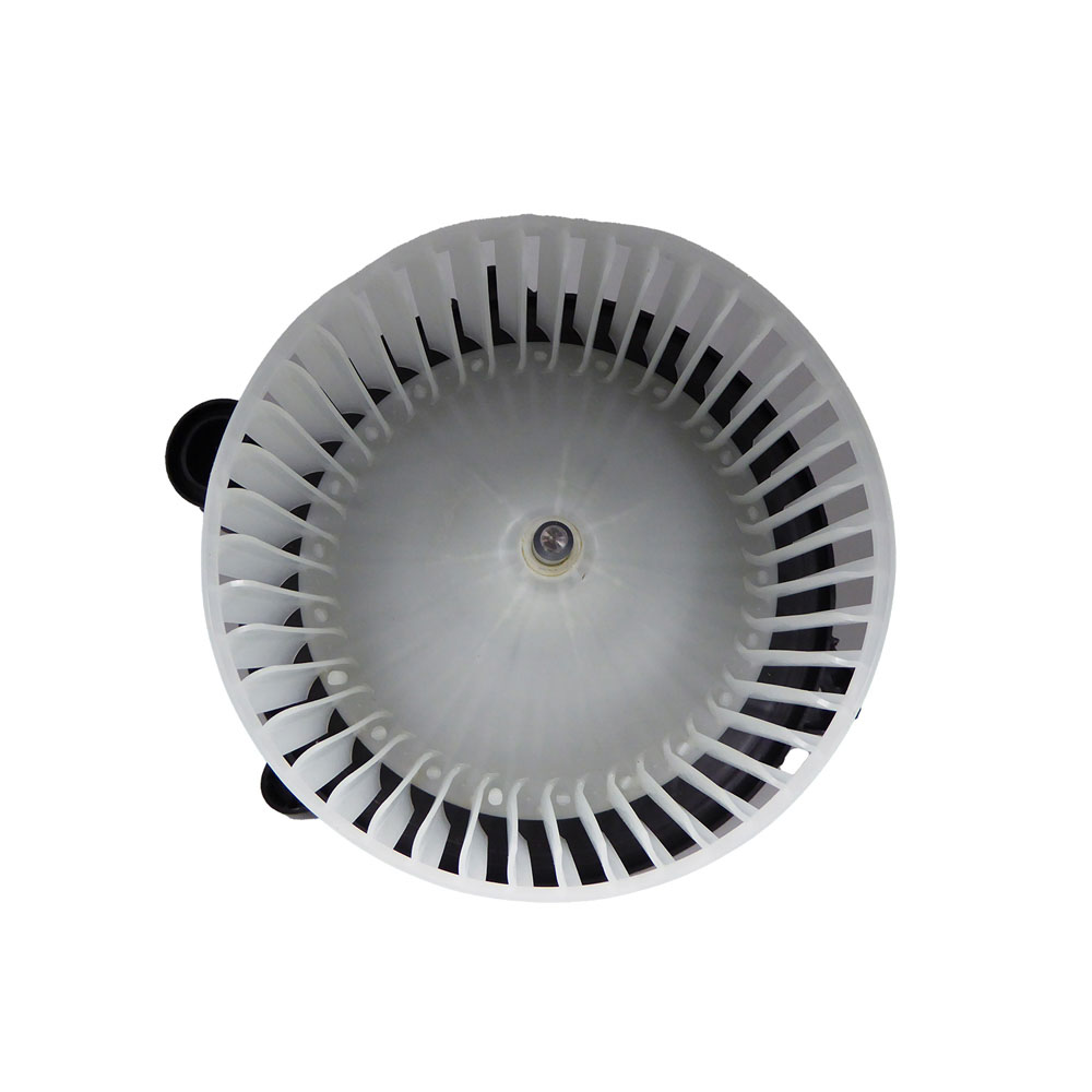 2009 Ford Flex Blower Motor