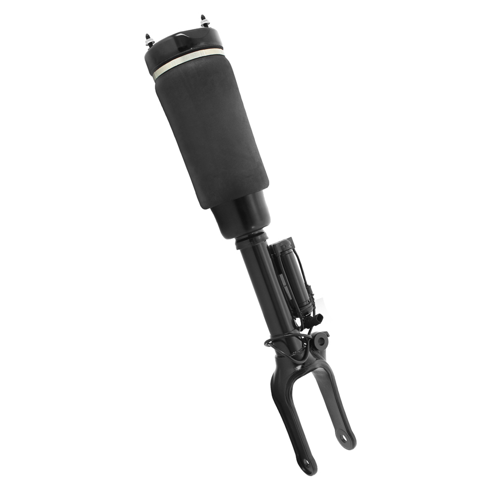 BuyAutoParts 75-20109AN Strut