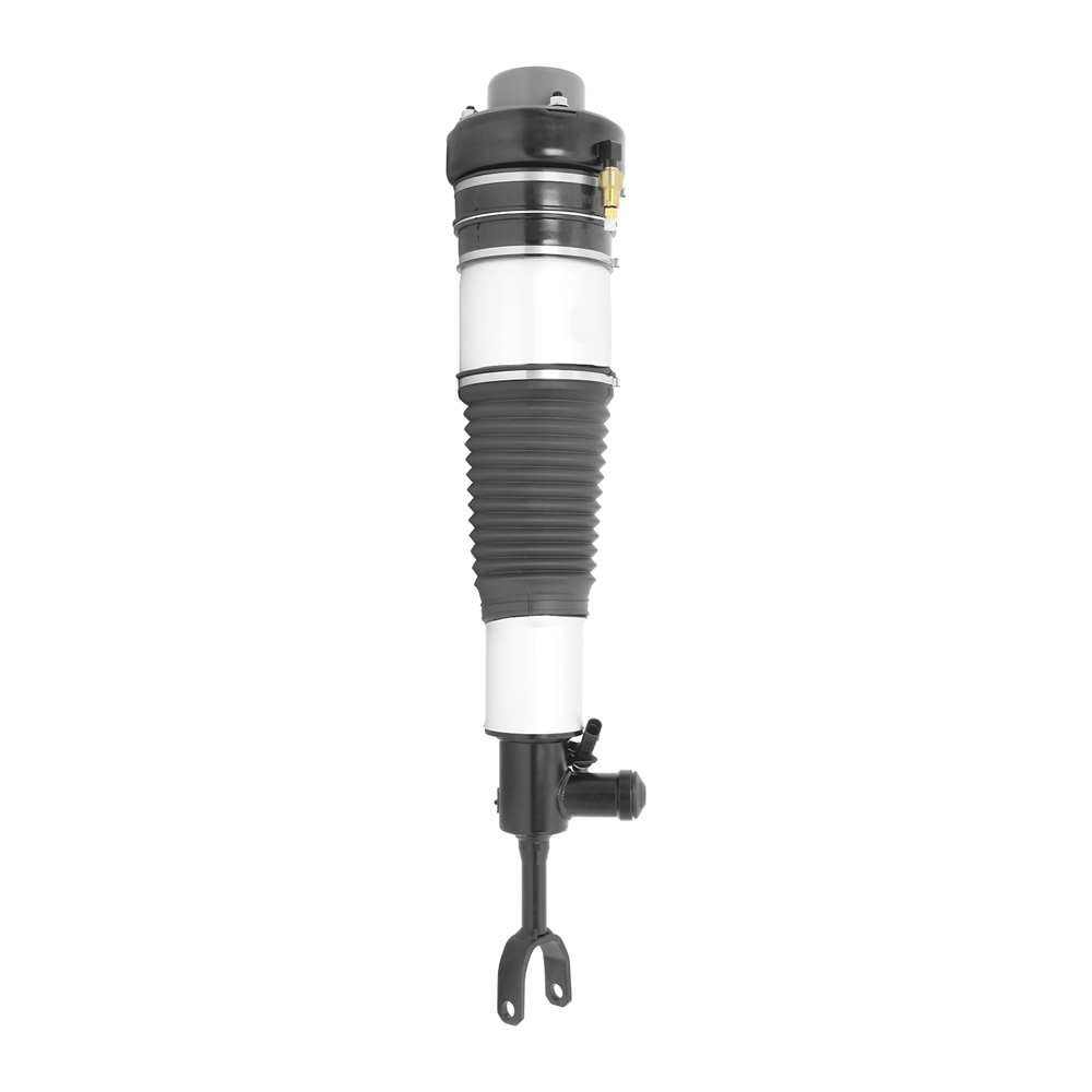 2009 Audi A6 Strut