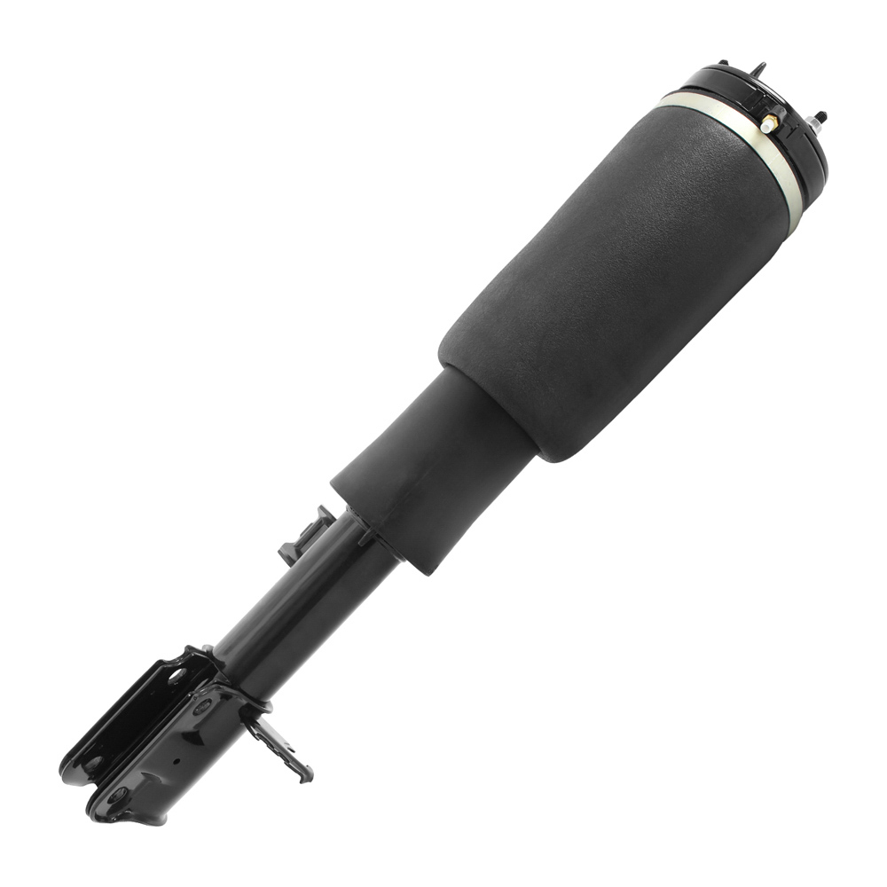 2010 Land Rover Range Rover Strut