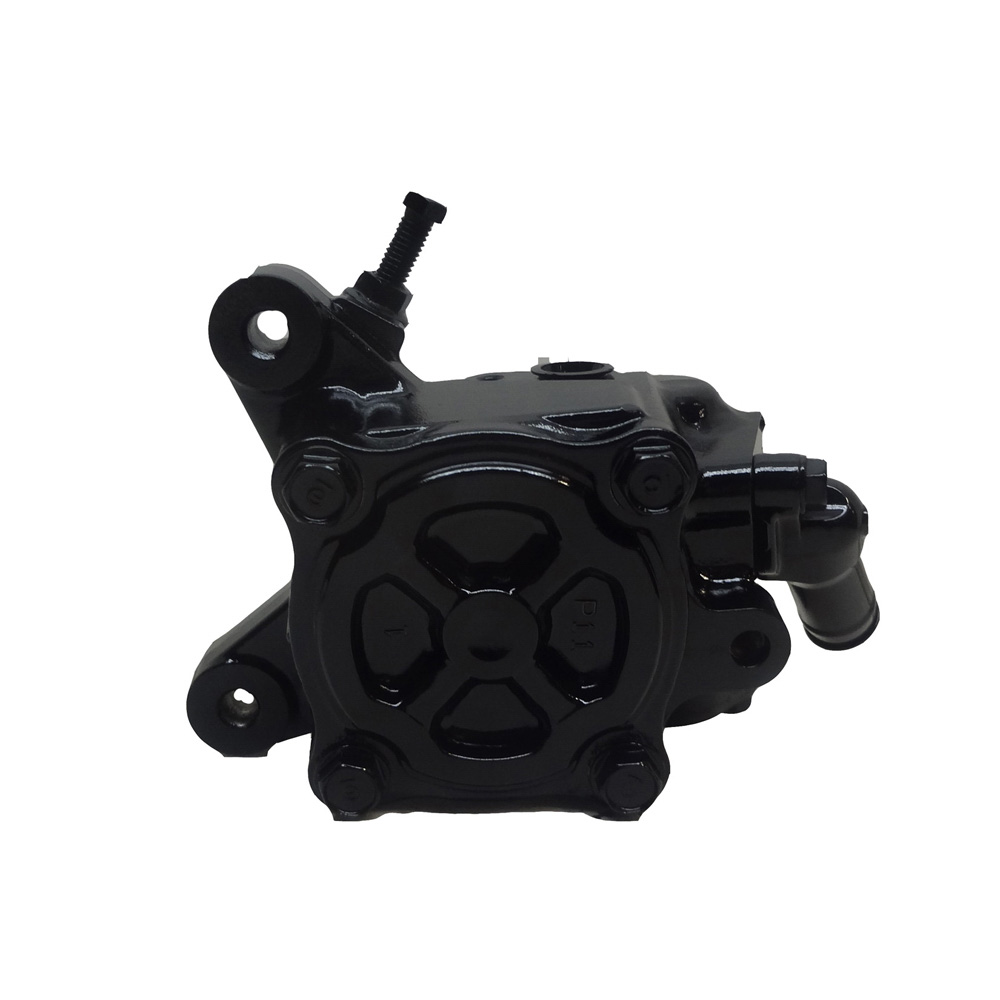 BuyAutoParts 86-02927R Power Steering Pump