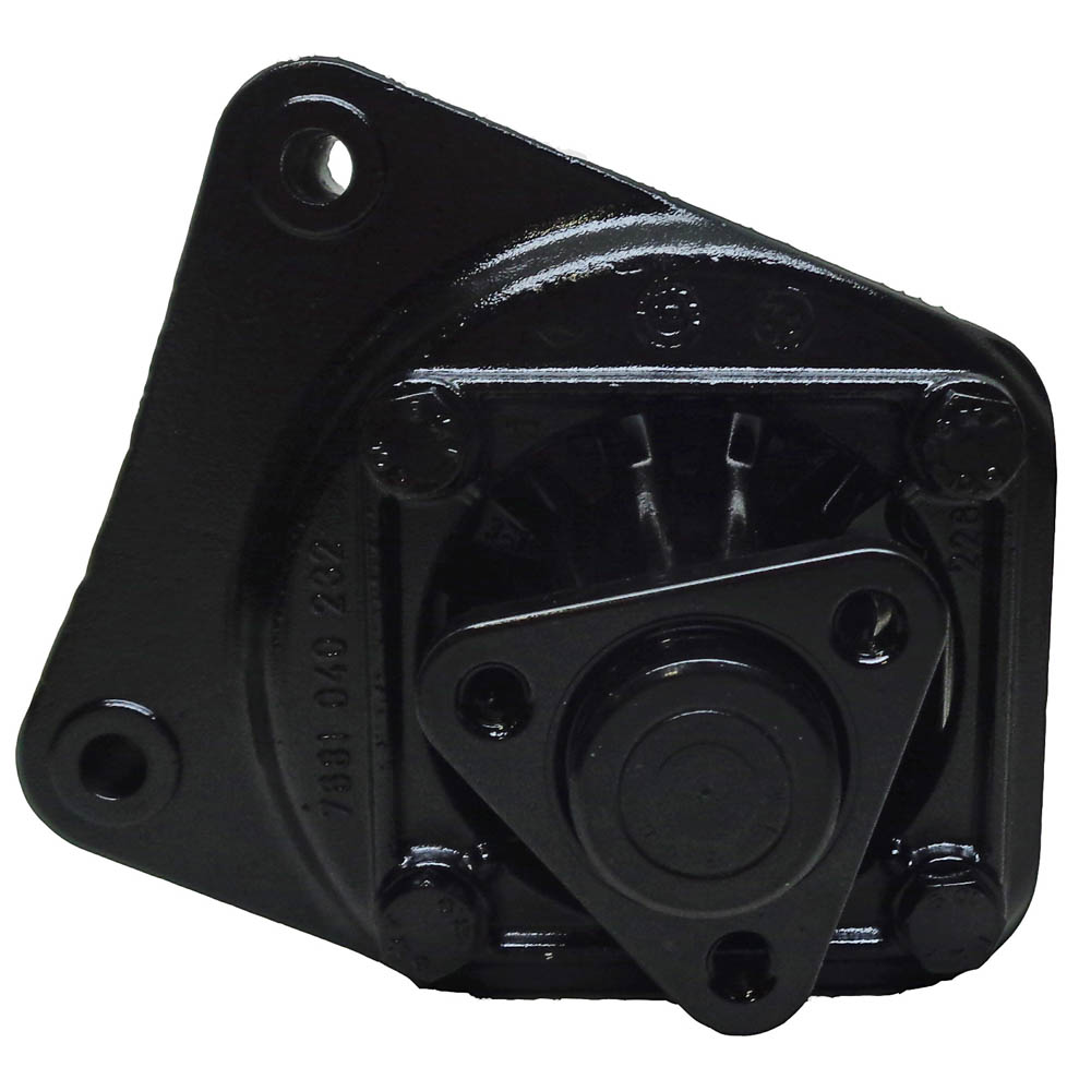 BuyAutoParts 86-00799R Power Steering Pump