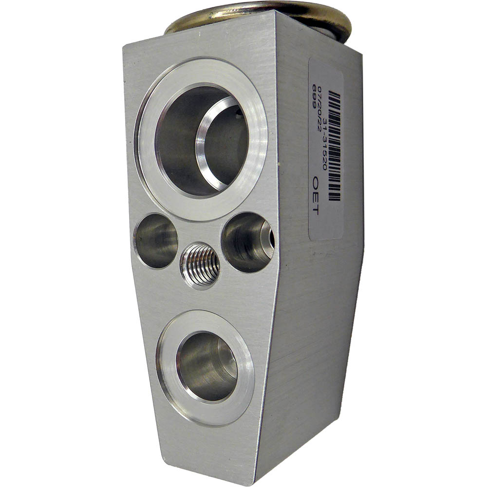BuyAutoParts 60-43595AN A/C Expansion Device