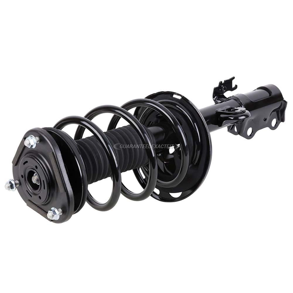 Toyota Rav4 Shocks And Struts