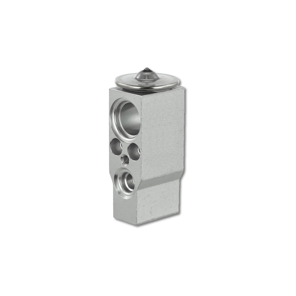 BuyAutoParts 60-43069AN A/C Expansion Device