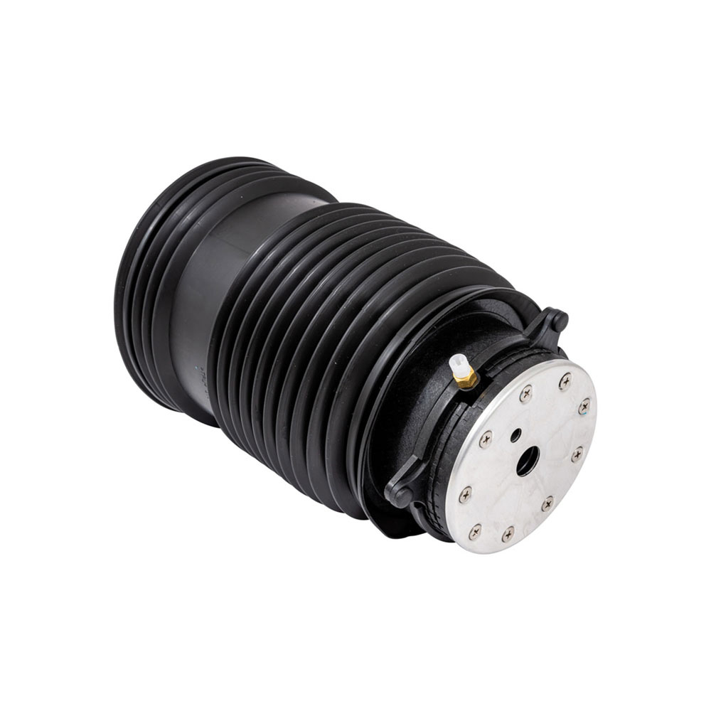 2017 Mercedes Benz C300 Air Spring