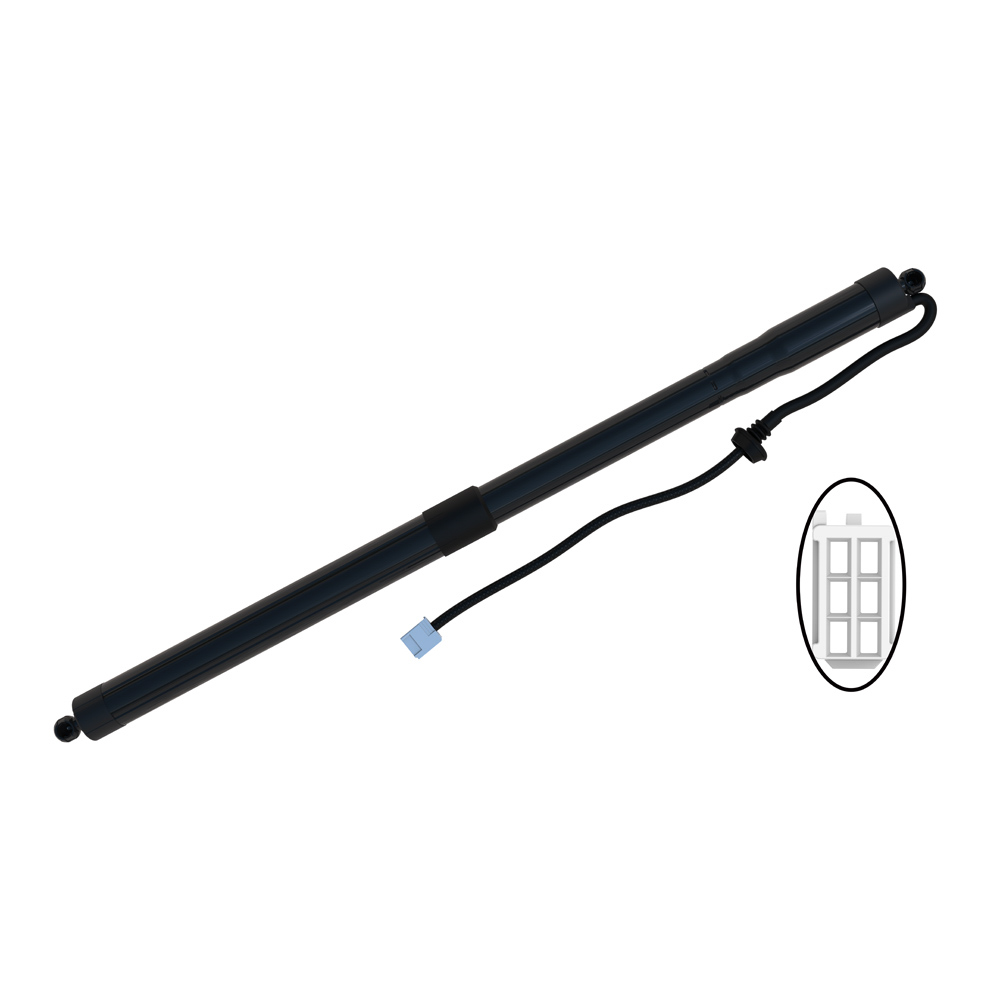 2021 Toyota RAV4 Liftgate Lift Support