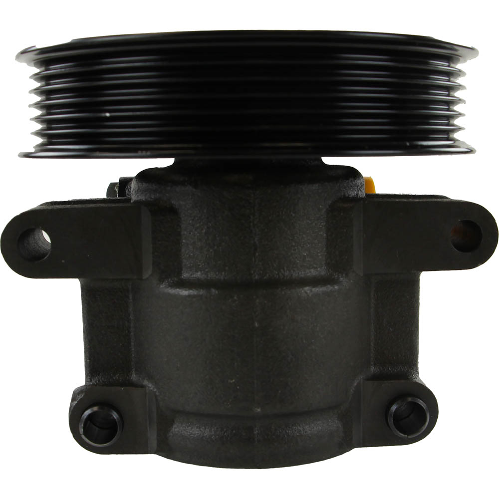 BuyAutoParts 86-01778AN Power Steering Pump