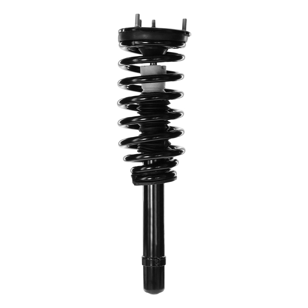 2006 Kia Amanti Strut and Coil Spring Assembly