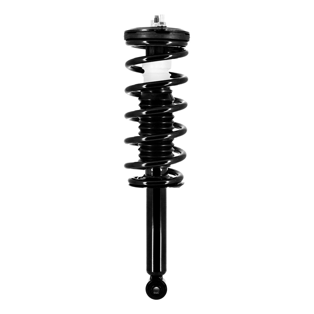 2000 Infiniti G20 Strut and Coil Spring Assembly