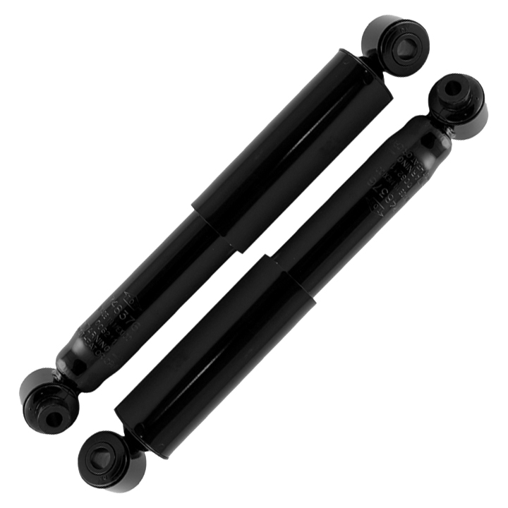 2000 Mazda MPV Shock and Strut Set
