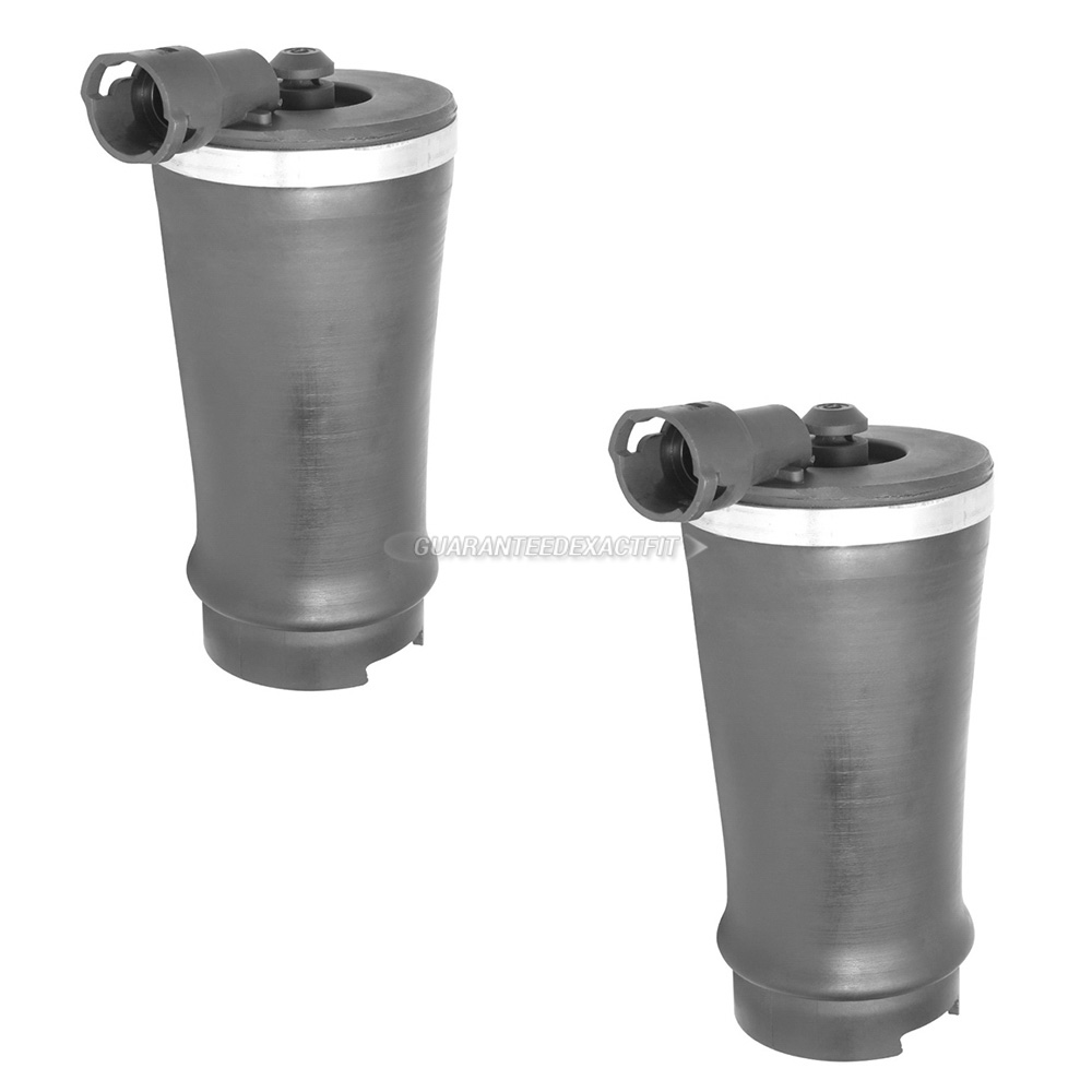 2002 Lincoln Blackwood Suspension Spring Kit