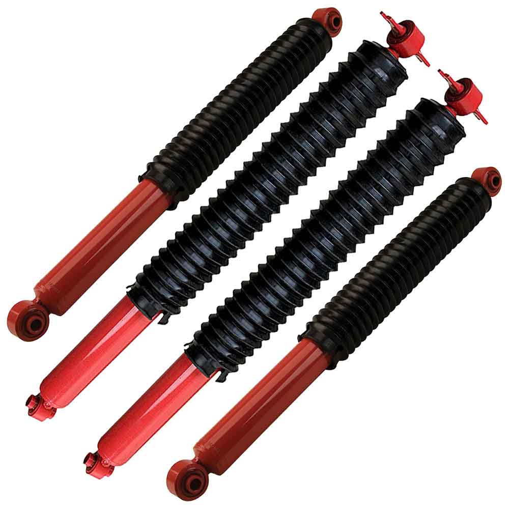 BuyAutoParts 77-62120C0 Shock and Strut Set