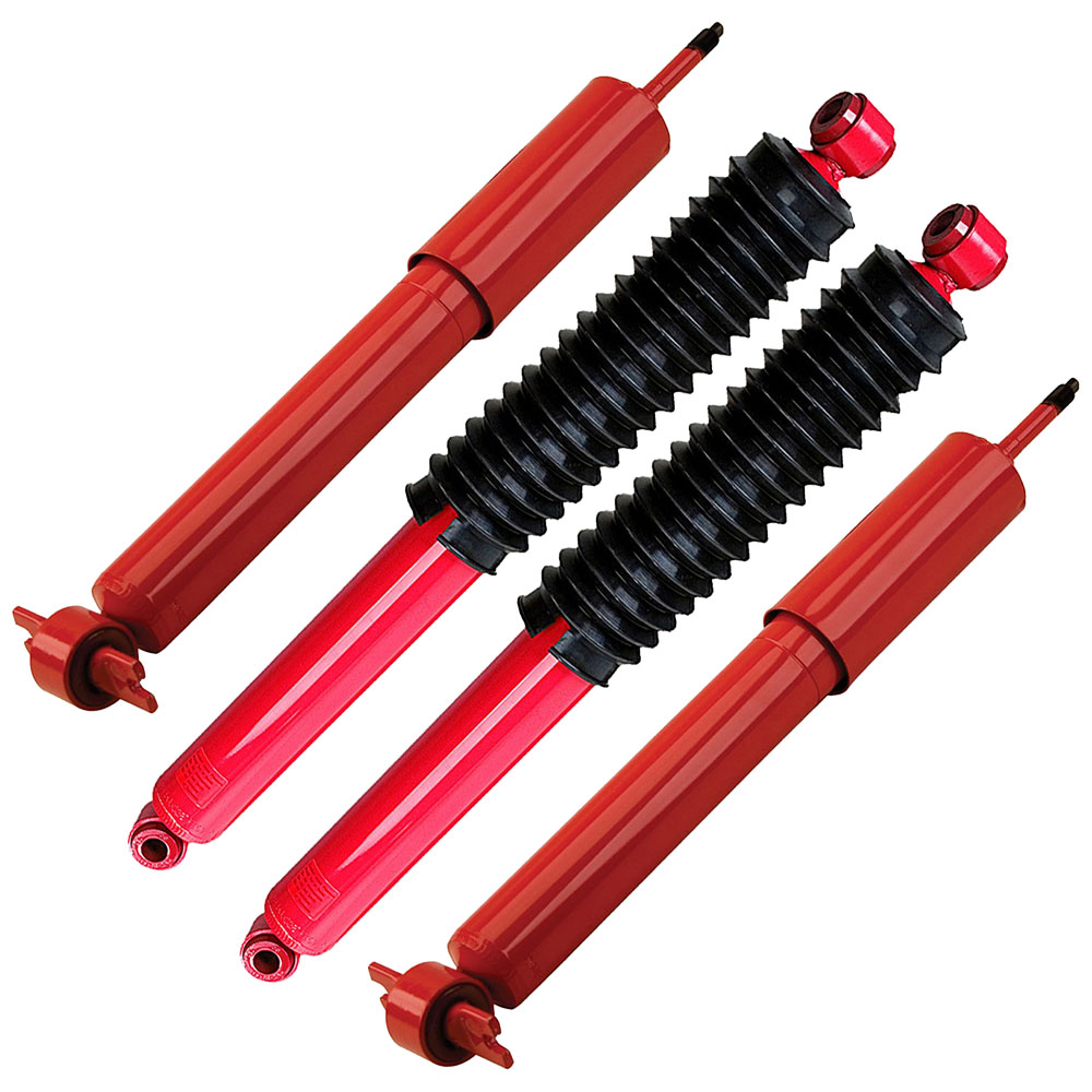 BuyAutoParts 77-63069C0 Shock and Strut Set