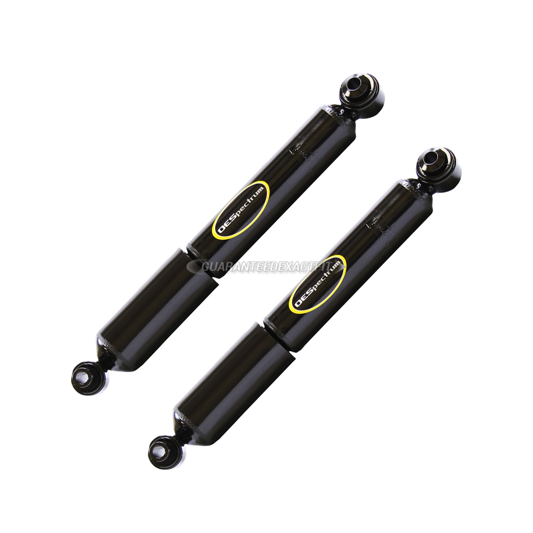 BuyAutoParts 77-66116CD Shock and Strut Set