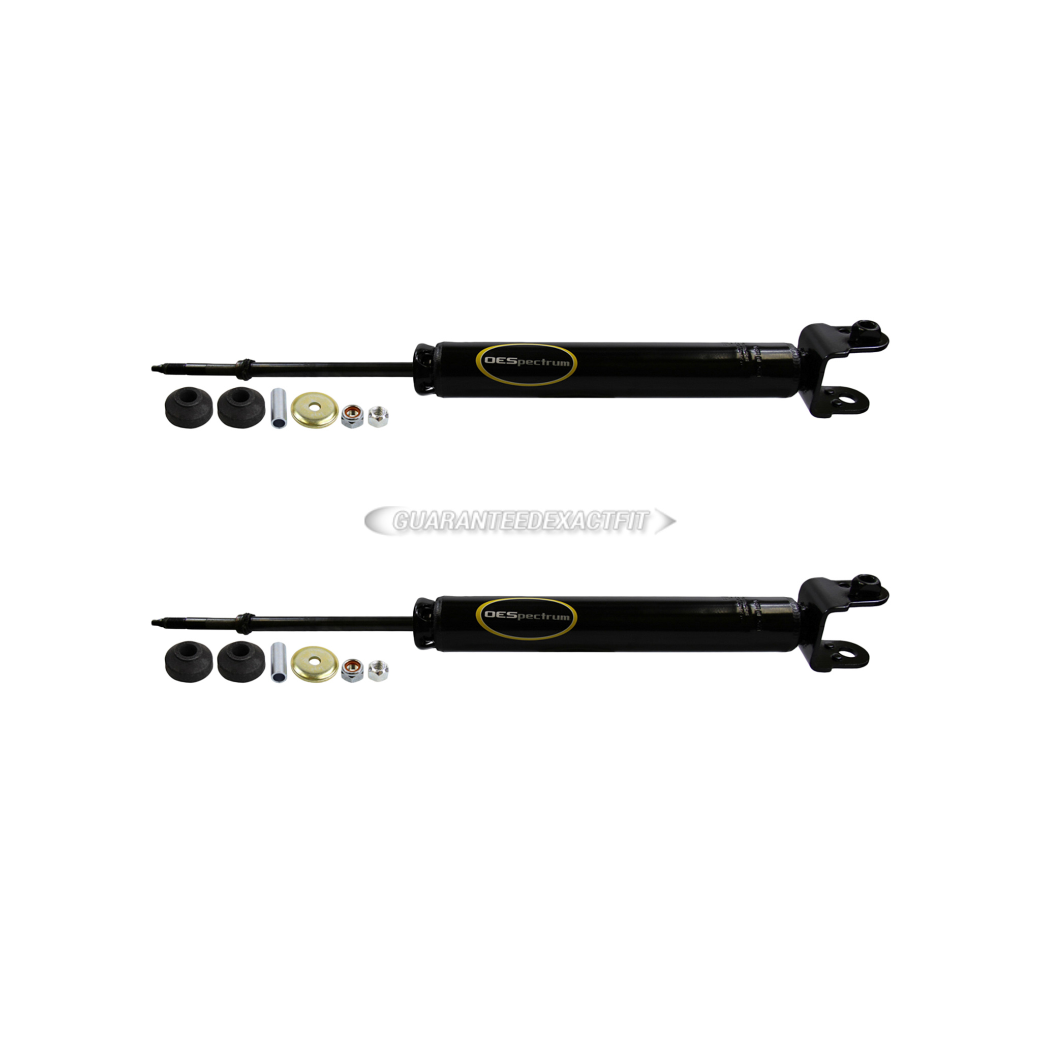 BuyAutoParts 77-66933CD Shock and Strut Set